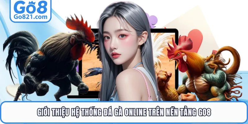 Giới thiệu hệ thống đá gà online trên nền tảng GO8