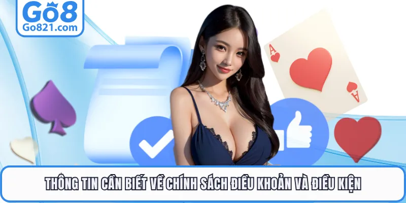 Thông tin cần biết về chính sách điều khoản và điều kiện