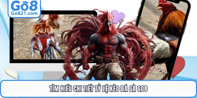 Tìm hiểu chi tiết tỷ lệ kèo đá gà GO8